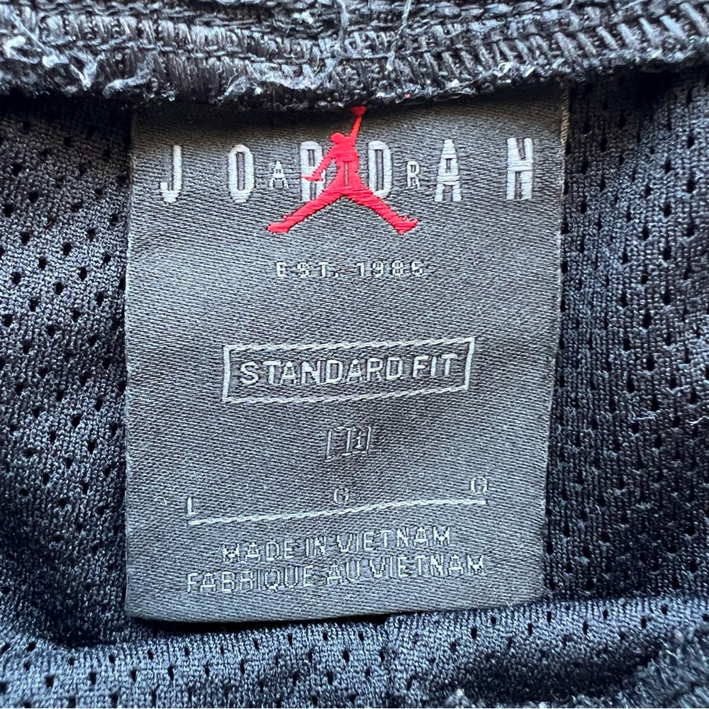 Nike Air Jordan AJ5 Mesh Graphic Shorts - Picture 5 of 7
